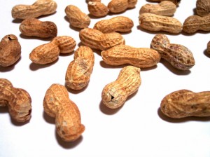 worried about peanut allergies