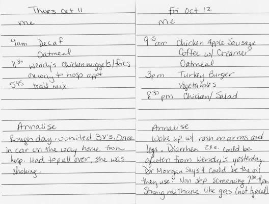 sample food log